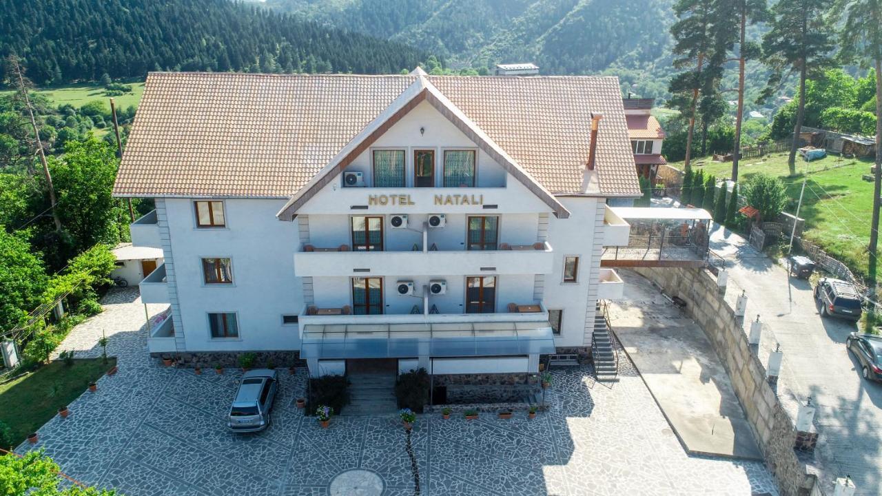Natali Hotel Боржомі Екстер'єр фото