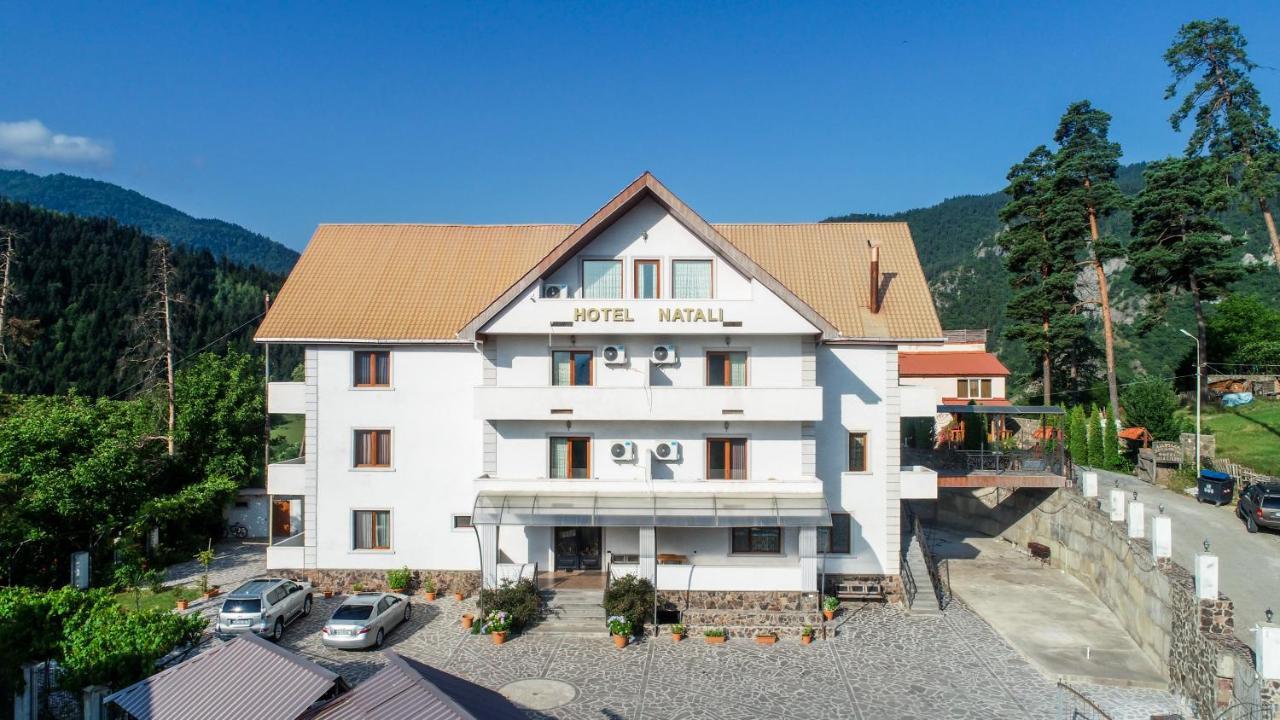 Natali Hotel Боржомі Екстер'єр фото