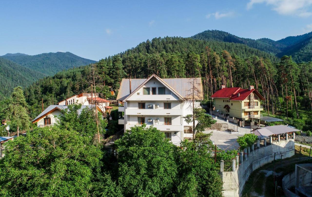 Natali Hotel Боржомі Екстер'єр фото