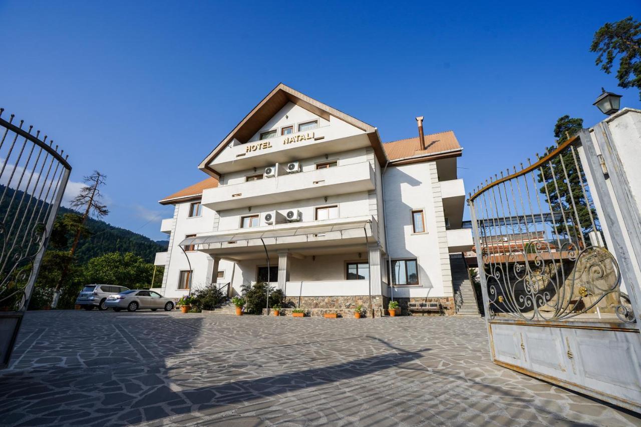 Natali Hotel Боржомі Екстер'єр фото