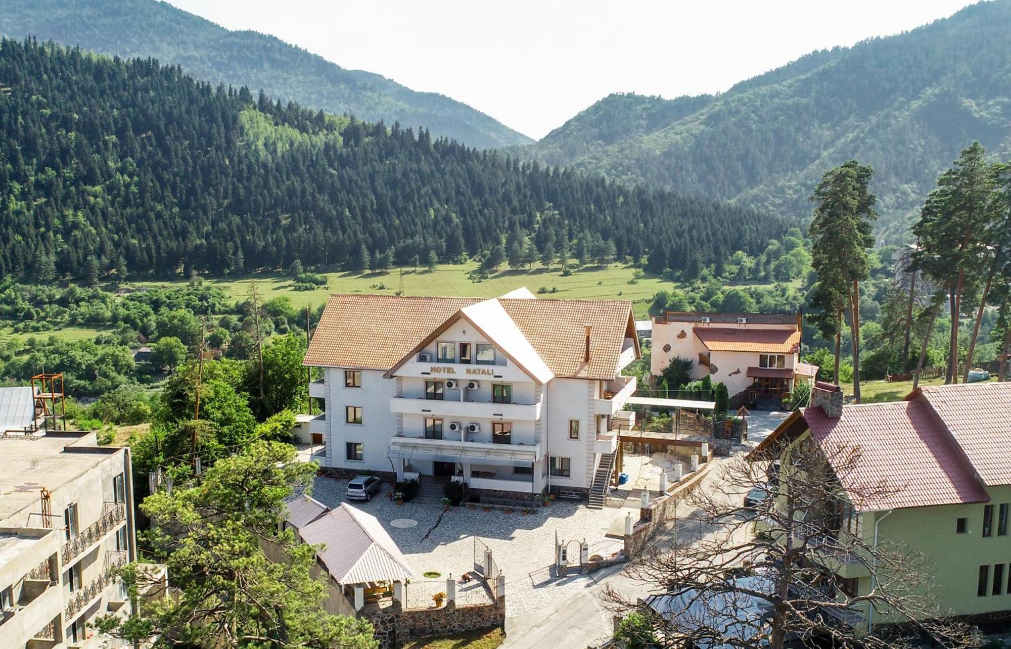Natali Hotel Боржомі Екстер'єр фото